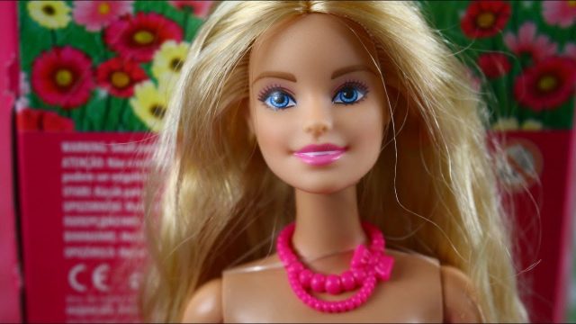Barbie doll Height Weight Shoe Size Body Measurements