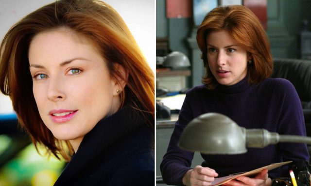 Diane Neal Height Weight Shoe Size Body Measurements