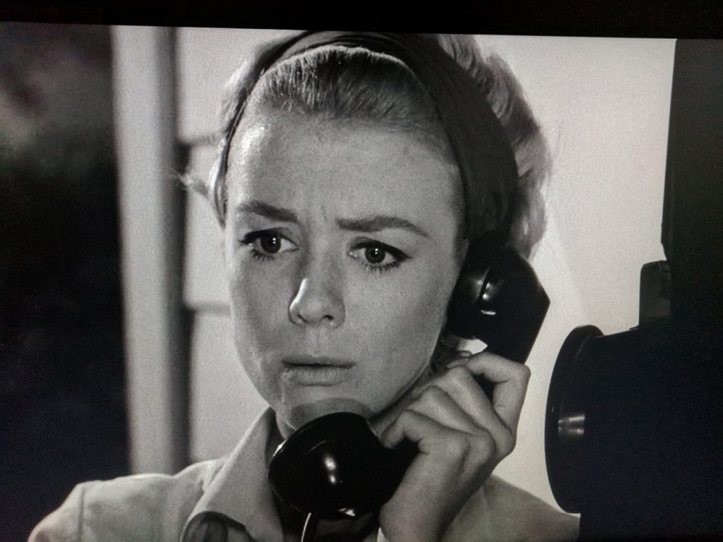 Inger Stevens' Height, Weight, Shoe Size and Body Measurements Height