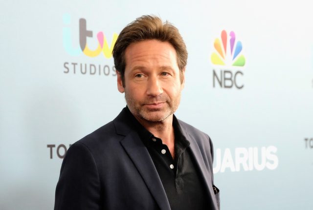David Duchovny Height Weight